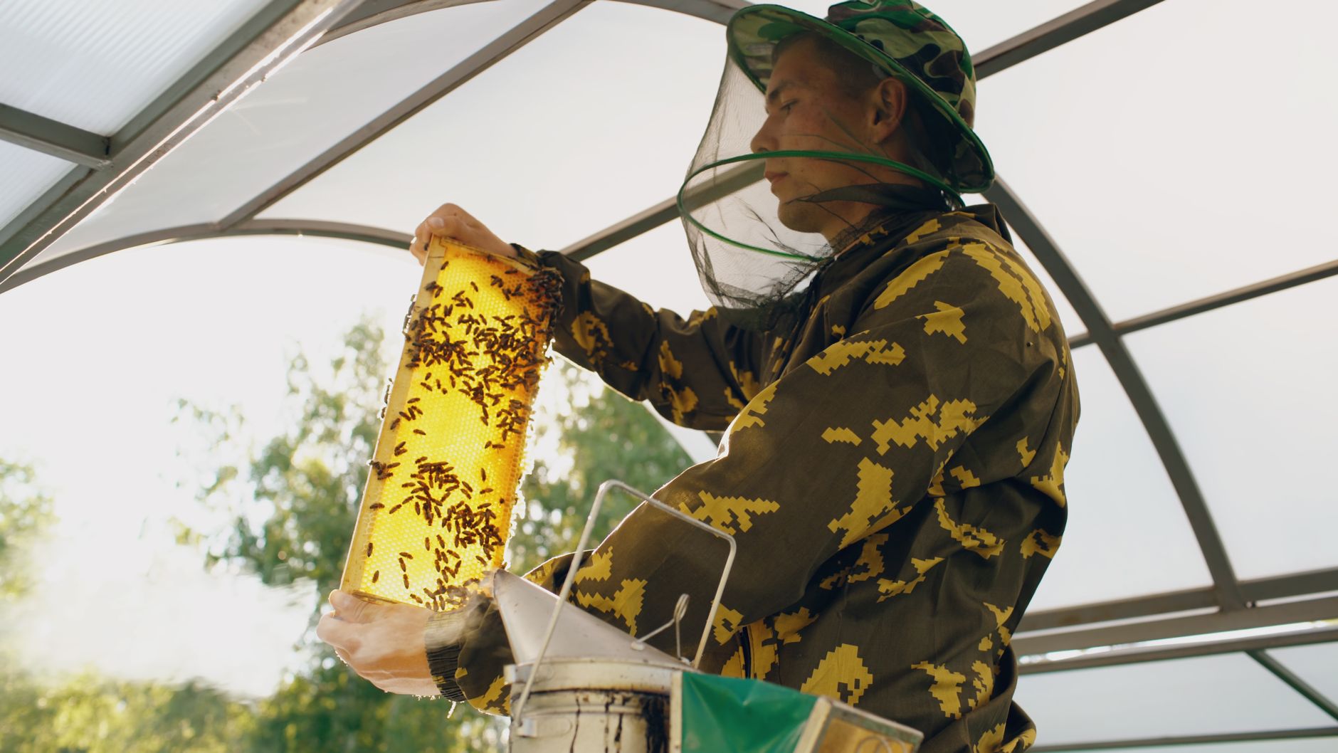 A beekeeper in protective gear examines a honeycomb inside a sunlit greenhouse.