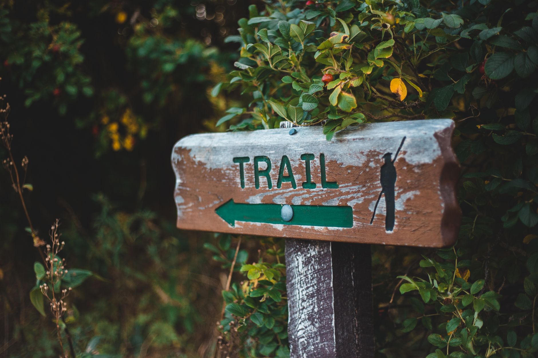 Aged wooden direction post with trail direction and arrow against lush green trees