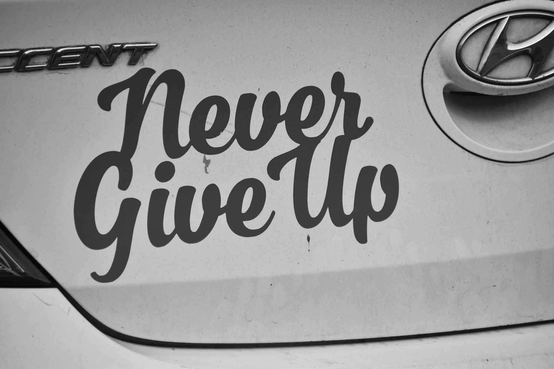 Black and white image of 'Never Give Up' decal on a Hyundai car.