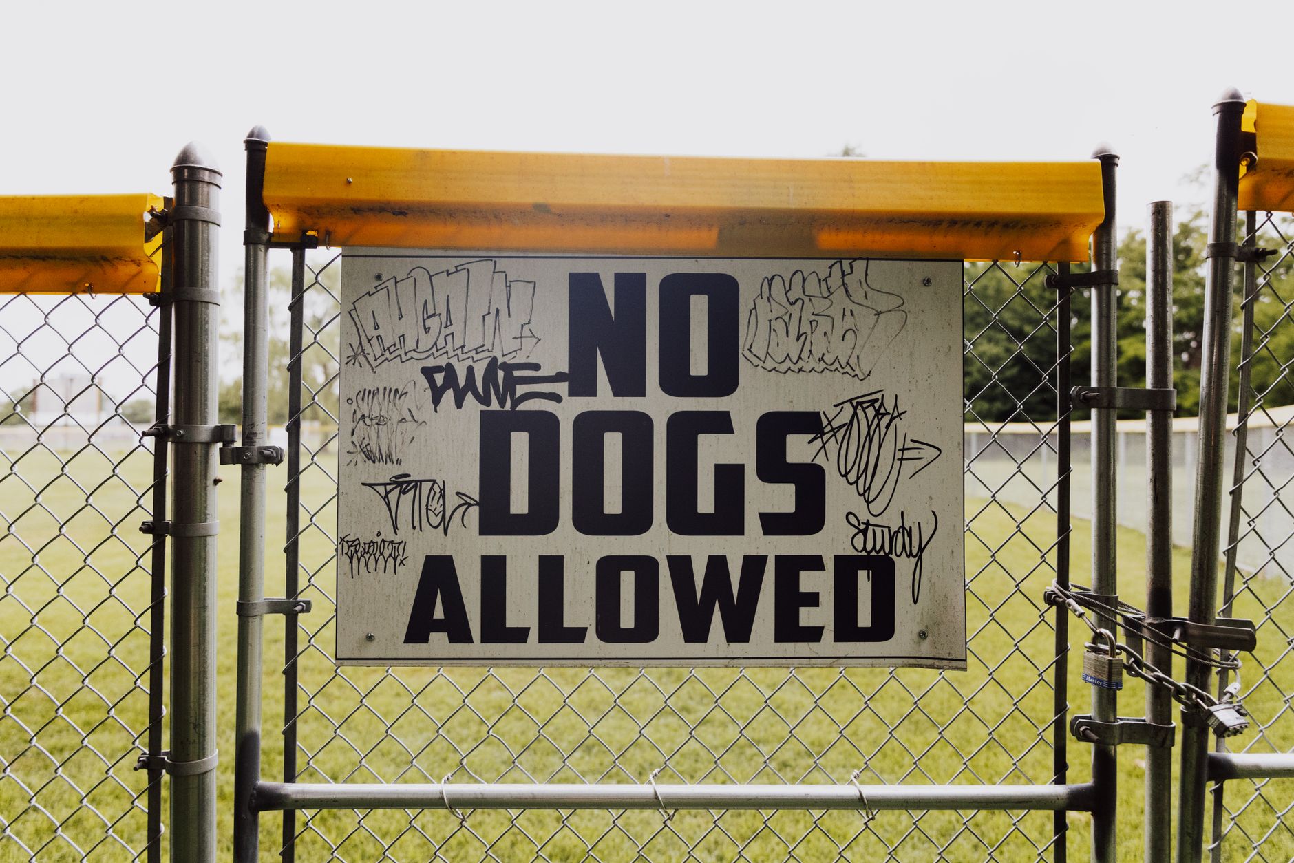 A fenced gate displaying a "No Dogs Allowed" sign with graffiti in a park setting.