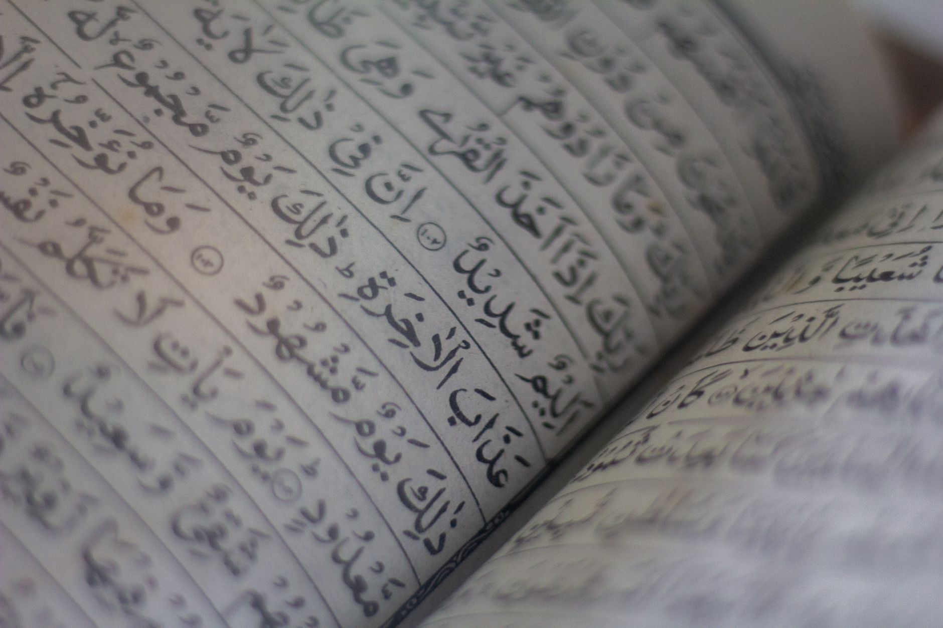 Selective focus on Arabic script in an open book, showcasing elegant calligraphy.