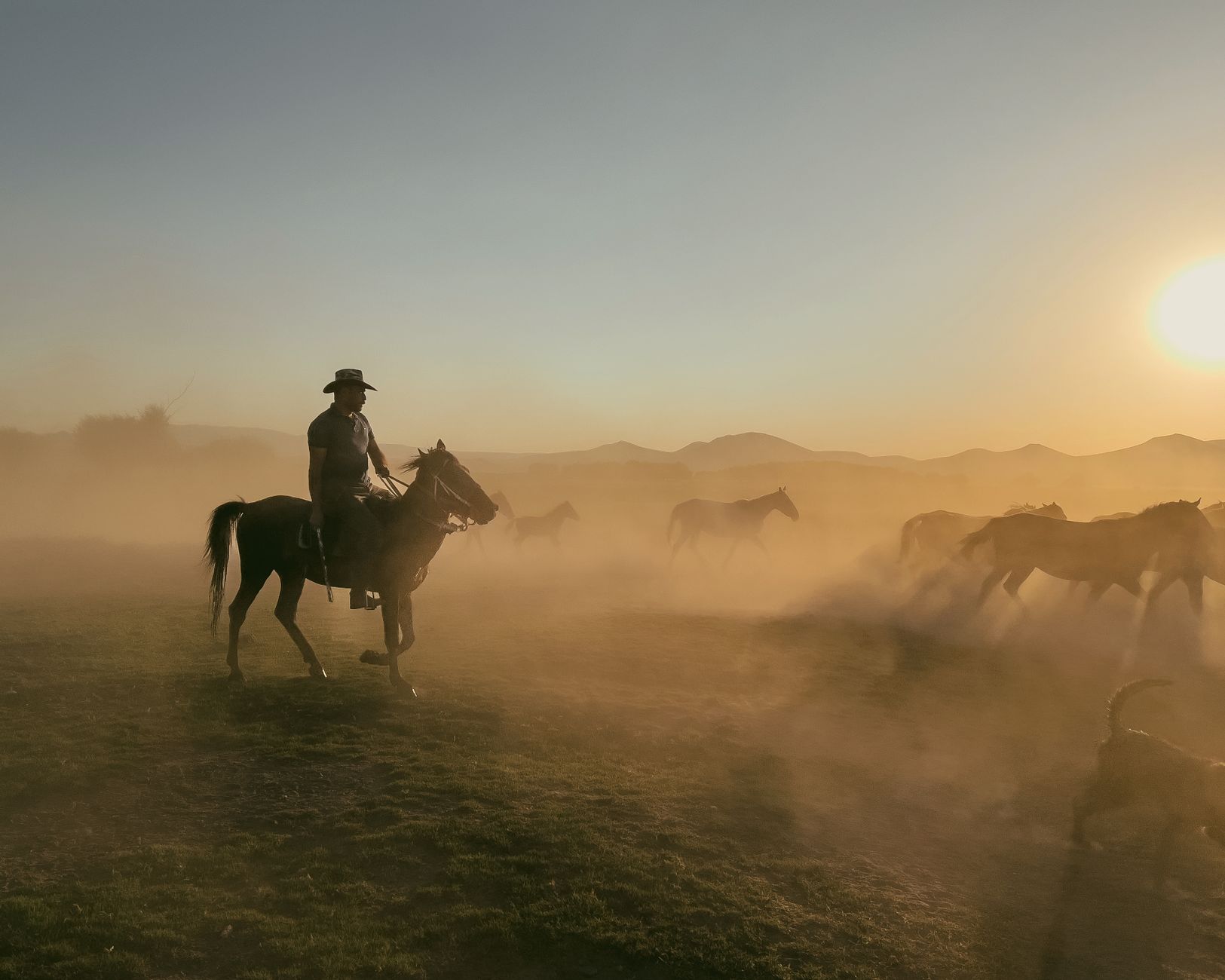 A cowboy on horseback herding a group of horses through a dusty plain during a vibrant sunset.