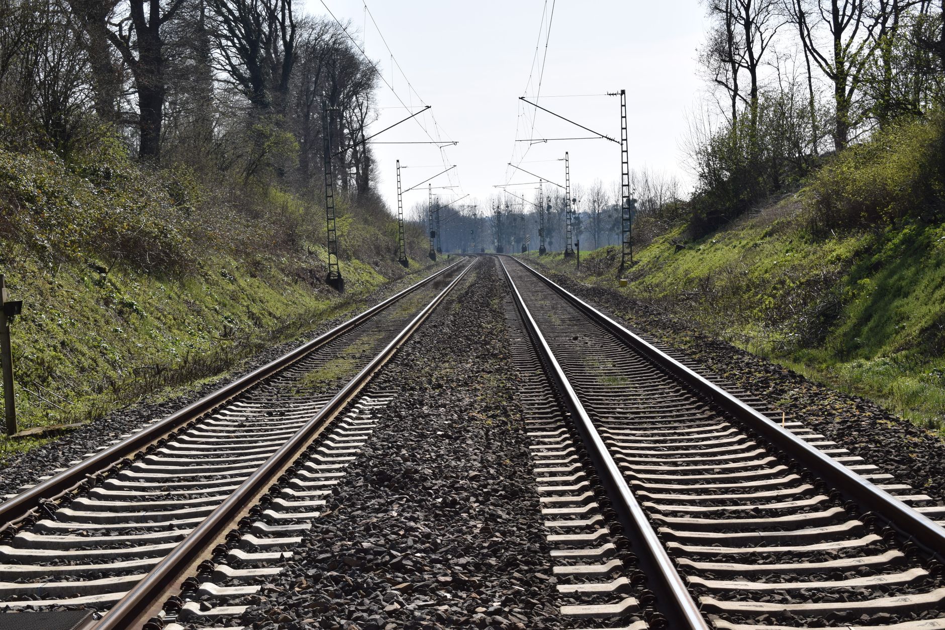 Two parallel railway tracks stretching through a tranquil nature scene with trees and greenery.