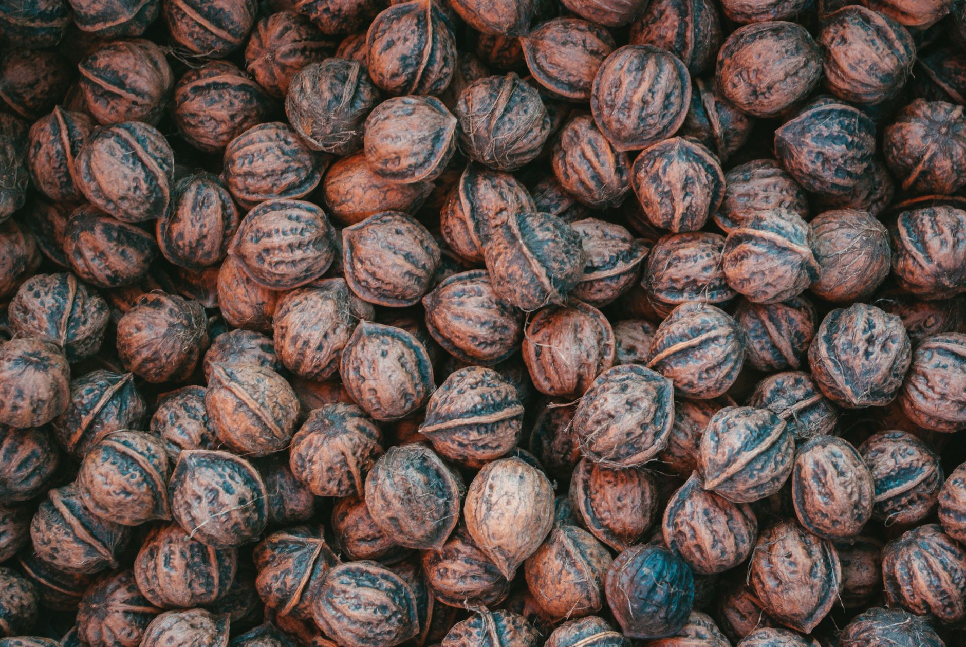 Abundance of unshelled walnuts piled up, showcasing texture and natural color tones.
