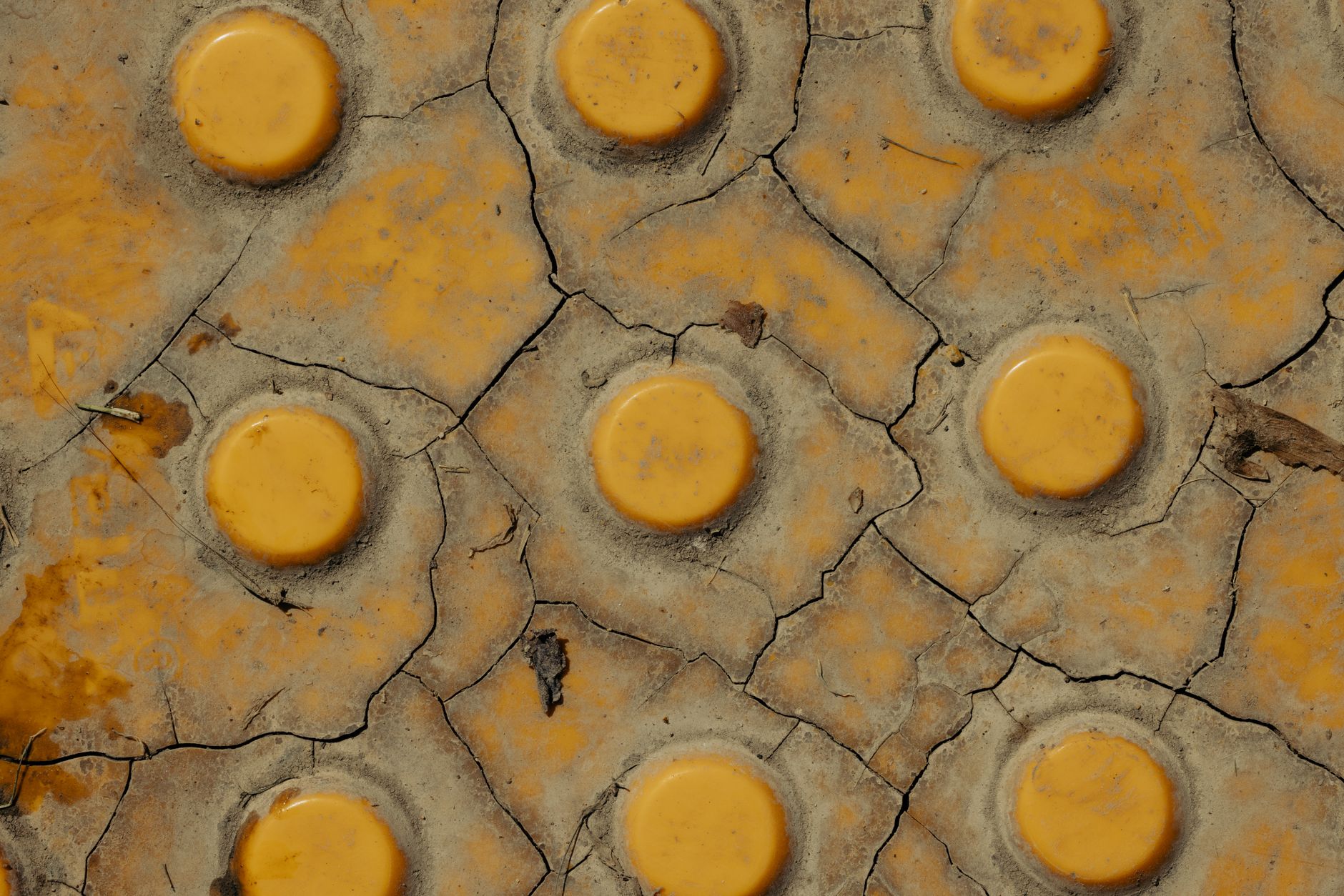 Detailed close-up of cracked yellow tactile paving texture, showing the worn pattern.
