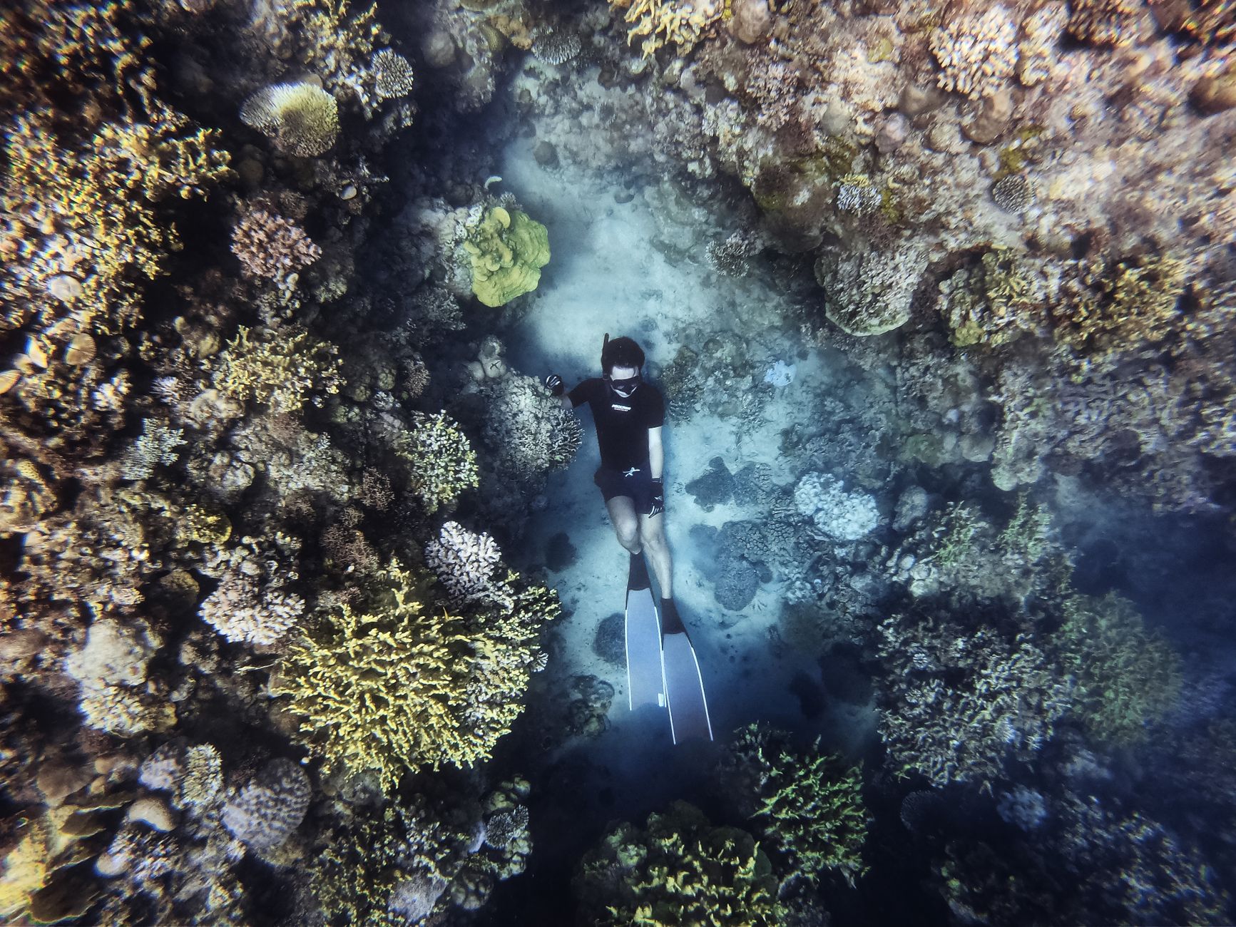 A diver leisurely explores a vibrant coral reef, showcasing stunning underwater photography.
