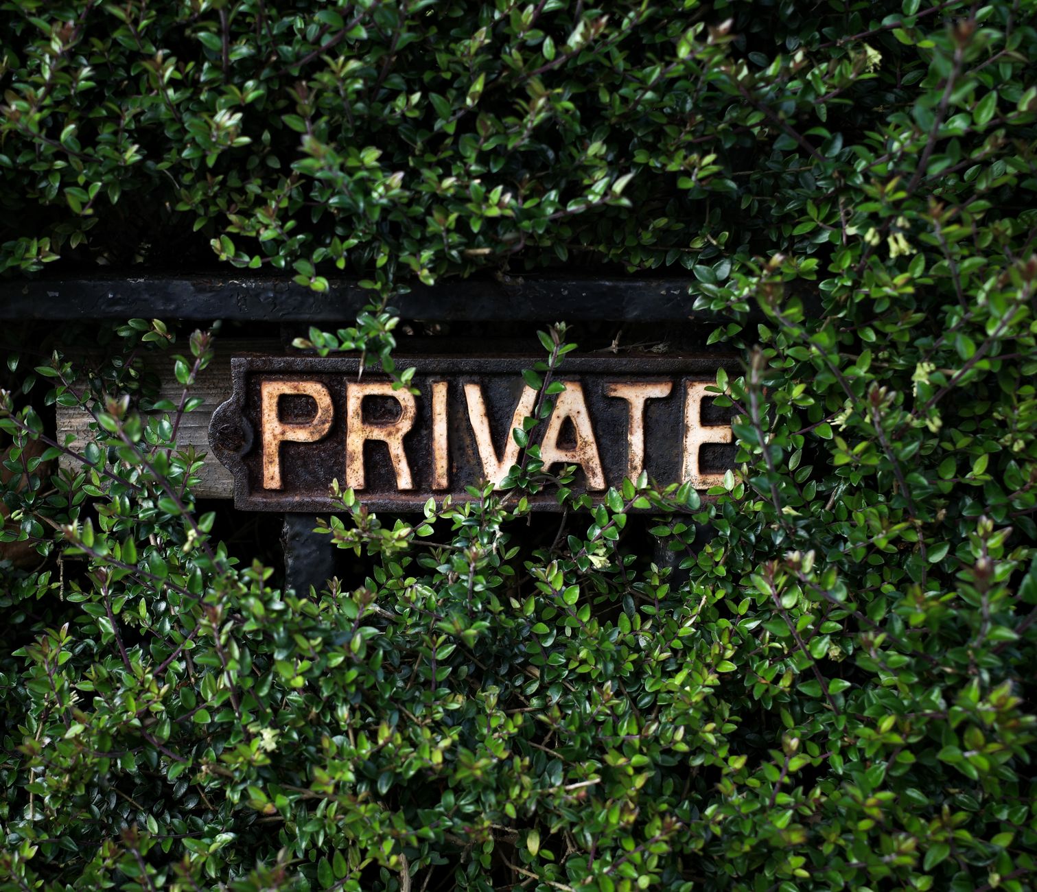A rustic 'Private' sign nestled within lush green foliage, suggesting seclusion.