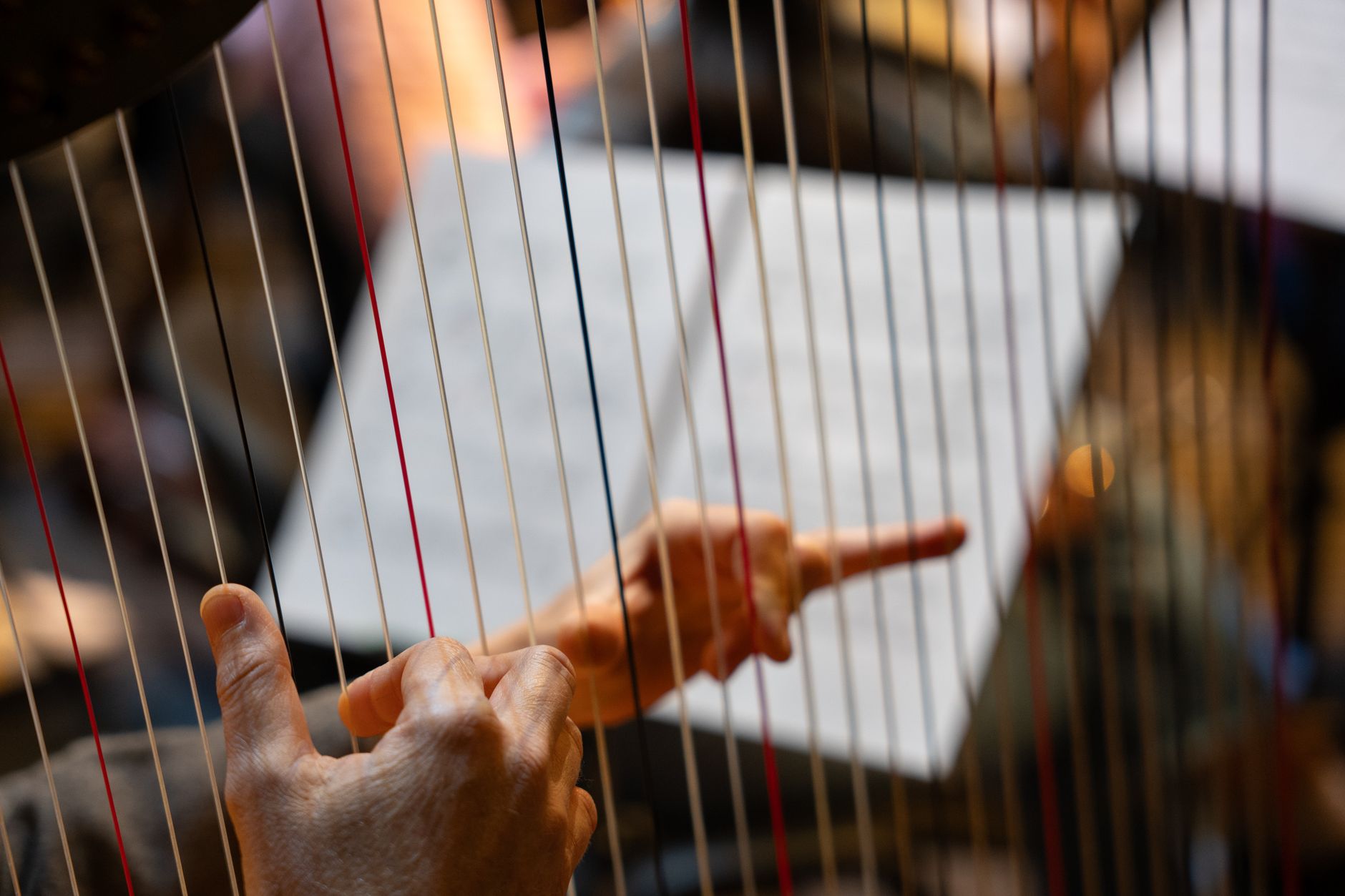 Detailed view of musician's hands playing a harp, indicating technical skill.