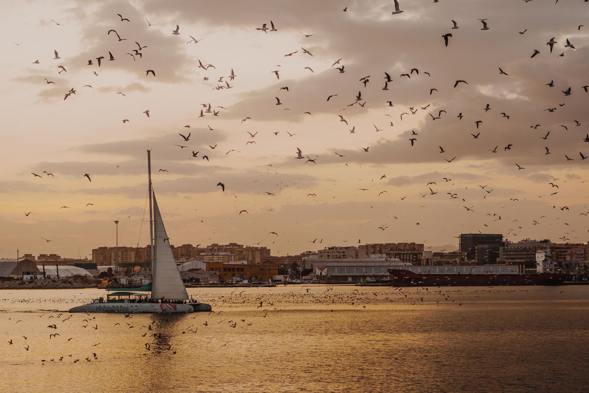 Captivating sunset over Málaga harbor featuring flock of birds and a yacht.