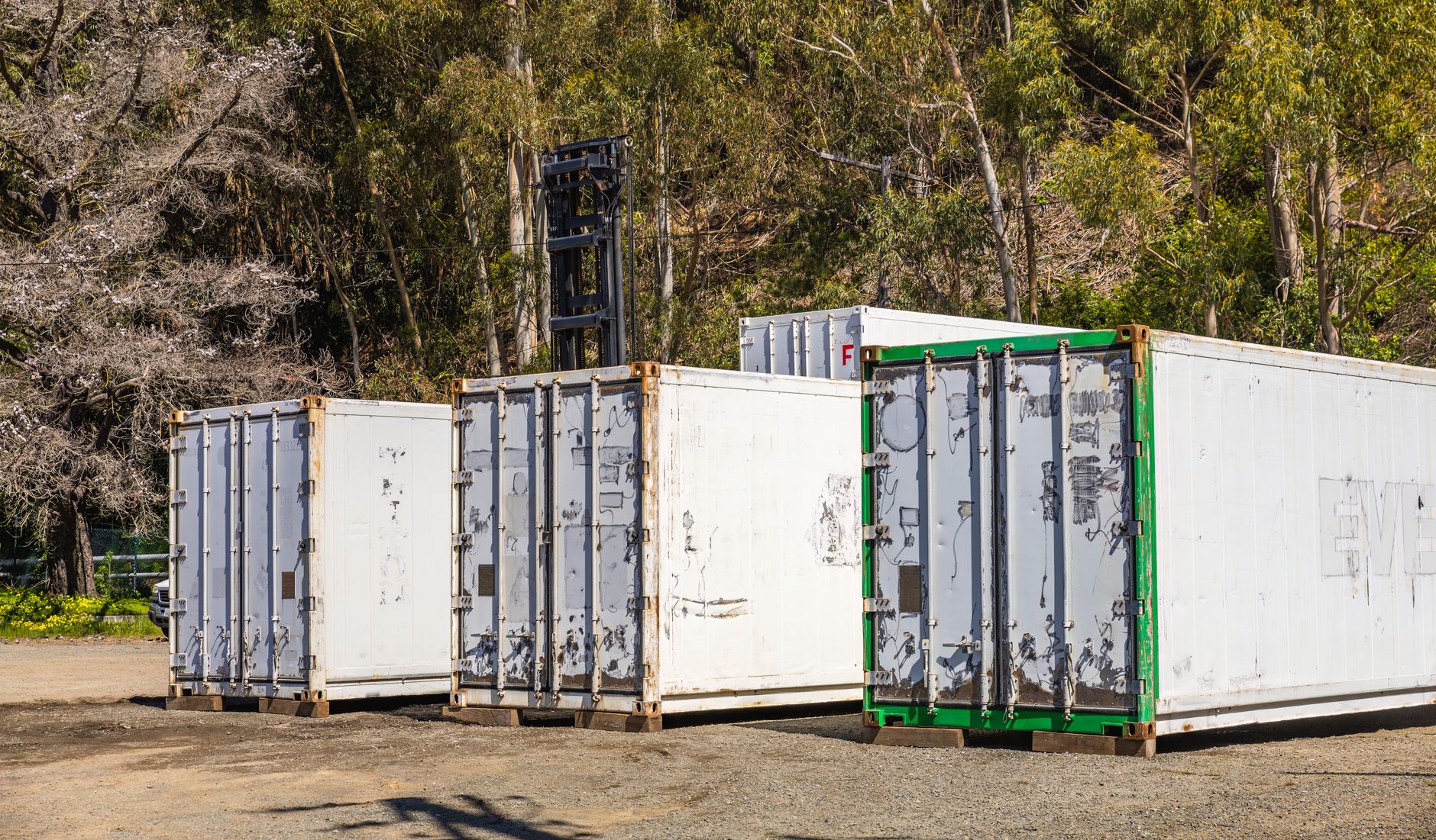 Group of white shipping containers set against a forest backdrop, illustrating transportation logistics.